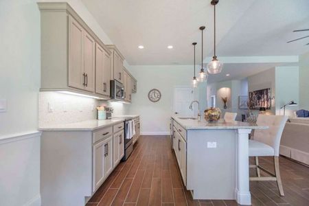 New construction Single-Family house 208 Hawthorn Ave, Palm Coast, FL 32164 plan Cambridge - image 17