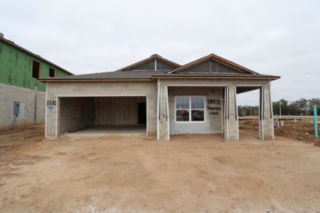 New construction Single-Family house 38413 Tobiano Loop, Dade City, FL 33525 Picasso- photo 35 35