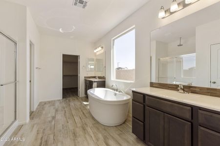 New construction Single-Family house 5532 N 192Nd Ln, Litchfield Park, AZ 85340 2492- photo 23 23