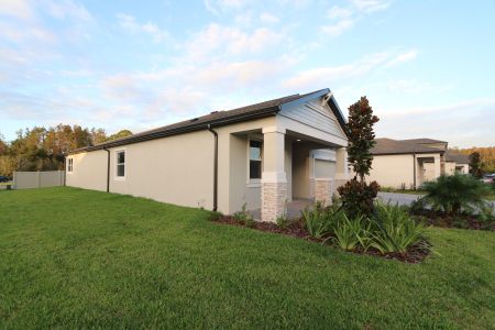 New construction Single-Family house 20112 Oriana Loop, Land O' Lakes, FL 34638 Corina  III Bonus- photo 86 86