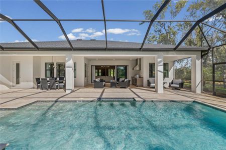 New construction Single-Family house 728 Estates Blvd, Tarpon Springs, FL 34688 - image 4