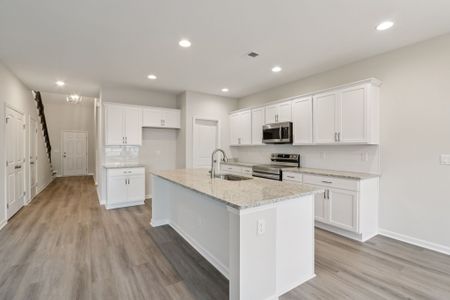 New construction Single-Family house 105 Courtland Dr, St. Marys, GA 31558 plan The Dogwood - image 9