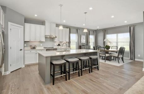 New construction Single-Family house 1022 Lacebark Dr, Ridgeville, SC 29472 plan Savannah - image 2