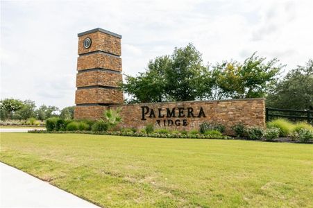 Palmera Ridge 50' by Perry Homes in Leander - photo