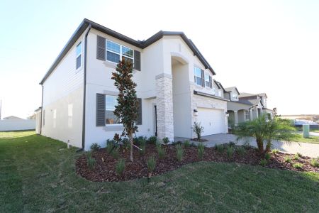 New construction Single-Family house 38338 Tobiano Loop, Dade City, FL 33525 Mira Lago- photo 163 163