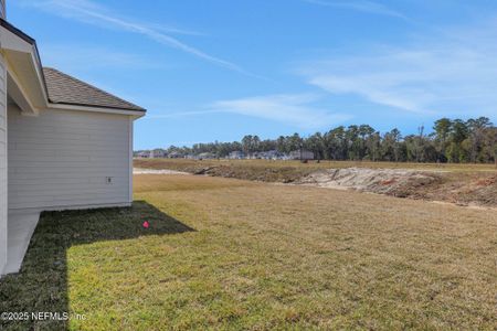 New construction Single-Family house 2272 Jennings Farm Dr, Unit 10, Middleburg, FL 32068 null- photo 45 45