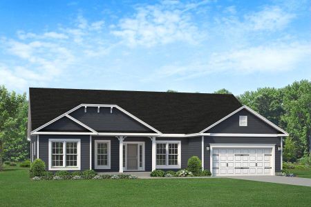 New construction Single-Family house Kinsale Ct, Garner, NC 27529 - photo 0