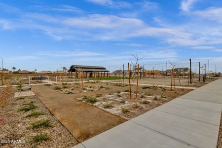 Earnhardt Ranch by Blandford Homes in Chandler - image 17