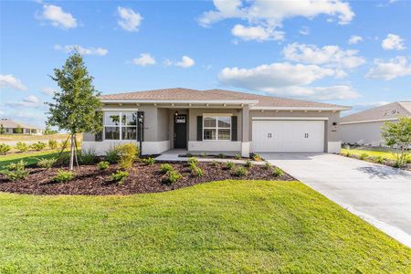 New construction Single-Family house 10665 Sw 101St Lane Rd, Ocala, FL 34481 - image