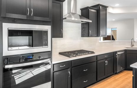 New construction Single-Family house 6826 W Ripken Wy, Florence, AZ 85132 plan Plateau - image 8