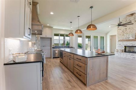 New construction Single-Family house 1033 Lilly Ln, Peaster, TX 76088 - image 9