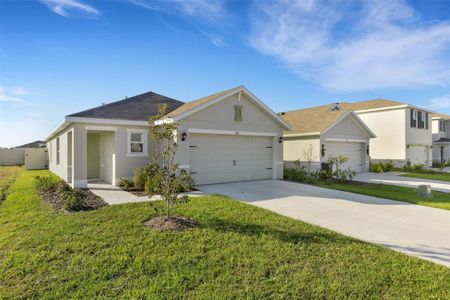 New construction Single-Family house 5831 Silver Moonlight Dr, Palmetto, FL 34221 plan Allex - image