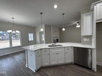 New construction Single-Family house 1725 Cardinal Dr, Deep Run, NC 28525 - image