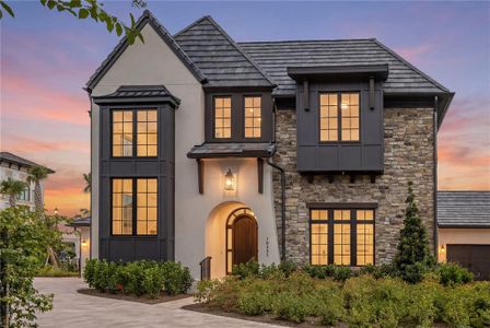 New construction Condo house 10331 Winter Sparkle Cir, Orlando, FL 32836 - image