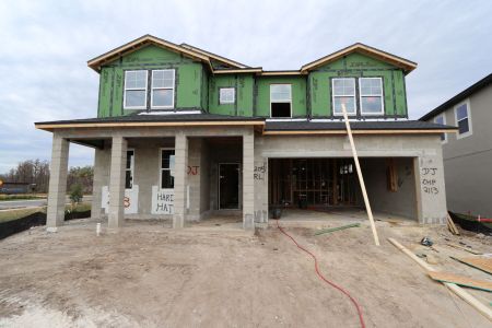 New construction Single-Family house 31205 Denham Ridge Ln, Wesley Chapel, FL 33545 Santa Monica- photo 34 34