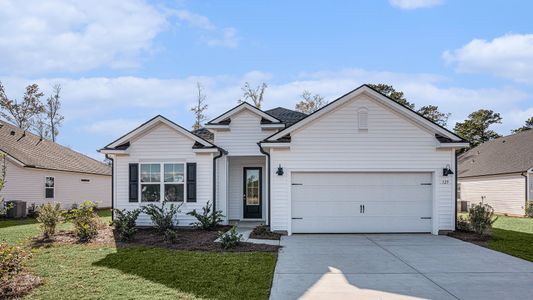 New construction Single-Family house 105 Keithland Dr, Conway, SC 29526 plan EATON - image