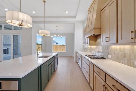 New construction Single-Family house 271 Lantern Ridge Dr, Aledo, TX 76008 - image 6