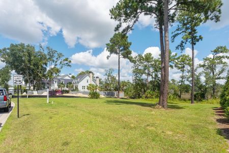 New construction Single-Family house 465 Lesesne Street, Charleston, SC 29492 - photo 20 20