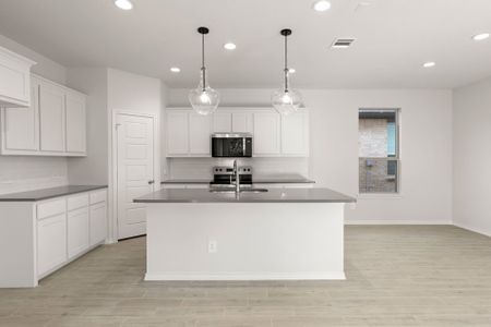 New construction Single-Family house 1620 Macadamia Ct, Aubrey, TX 76227 plan Maple - image 5