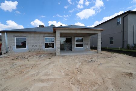 New construction Single-Family house 12193 Hilltop Farms Dr, Dade City, FL 33525 Sentinel- photo 18 18