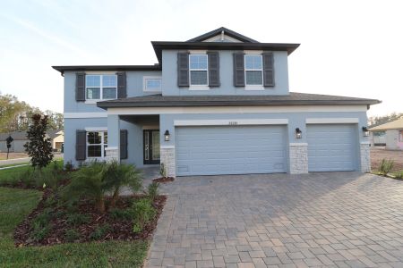 New construction Single-Family house 20288 Oriana Loop, Land O' Lakes, FL 34638 Coronado II- photo 109 109