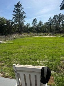 New construction Single-Family house 1398 Sw Breezy Point Dr, Dunnellon, FL 34431 - image