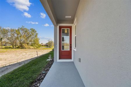 New construction Single-Family house 3681 Nandina Cir, Sun City Center, FL 33573 Sandpiper- photo 3 3