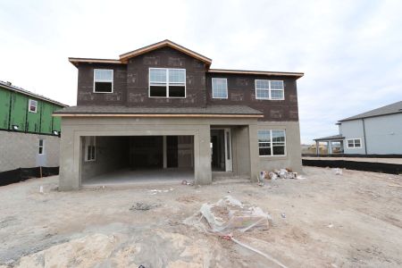 New construction Single-Family house 5707 Maydale Ave, Wesley Chapel, FL 33545 Sonoma II- photo 94 94