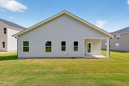 New construction Single-Family house 425 Hallingsfield Wy, Zebulon, NC 27597 - image