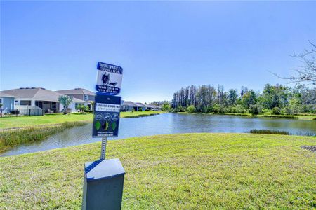 New construction Townhouse house 1291 Colt Creek Pl, Wesley Chapel, FL 33543 null- photo 78 78