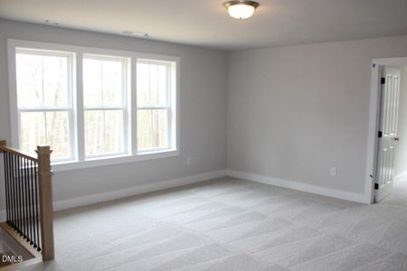 New construction Single-Family house 212 Rawhide Dr, Unit 1828, Louisburg, NC 27549 - image 16