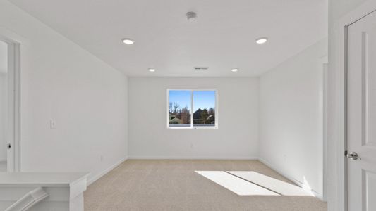 New construction Single-Family house 1448 Boyle St, Windsor, CO 80550 plan Kensington - image 17