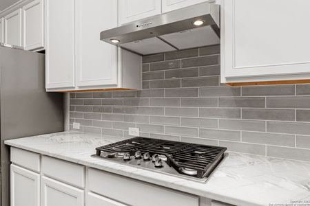 New construction Single-Family house 221 Vamanos, Boerne, TX 78006 plan Brandon - image 19