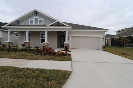 New construction Single-Family house 5917 Hidden Branch Dr, Apollo Beach, FL 33572 - photo 0