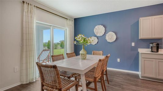 New construction Single-Family house 13249 Sassafras Trl, Parrish, FL 34219 - image 13