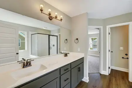 New construction Single-Family house 51 Hanover Pl, Richmond Hill, GA 31324 plan Hilton - image 20