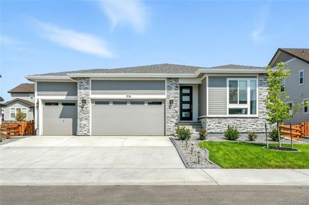 New construction Single-Family house 7131 E 125Th Pl, Thornton, CO 80602 plan Arlington - image