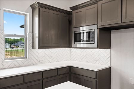 New construction Single-Family house 131 Spring Valley Rd, Paradise, TX 76073 plan The Wilder - image 12