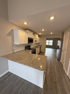 New construction Single-Family house 286 Selesia Ln, Pleasant View, TN 37146 - image 4