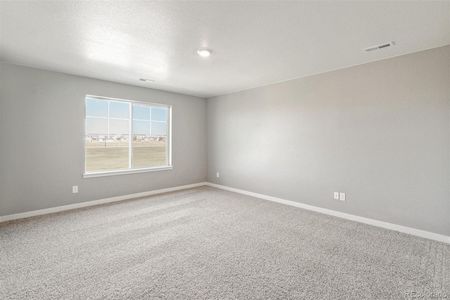 New construction Single-Family house 18029 Dandy Brush Ln, Parker, CO 80134 ELDER II- photo 19 19