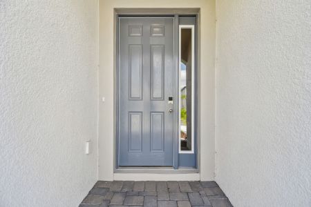 New construction Single-Family house 4774 Beachrose Way, Lakeland, FL 33811 Barcello Bonus- photo 110 110