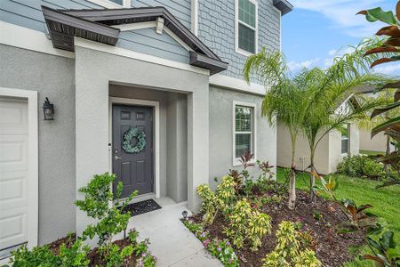 New construction Single-Family house 8887 Little Bluestem Dr, Land O' Lakes, FL 34637 null- photo 4 4