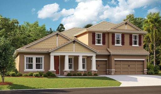 Creek Ridge Preserve by Homes by WestBay in Lithia - photo 10 10