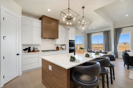 New construction Single-Family house 6315 Steppes Wy, Loveland, CO 80538 plan Hudson - image 6