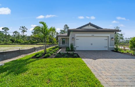 New construction Single-Family house 2094 Seville Ln, Naples, FL 34120 plan Contour - image