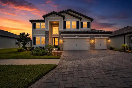 New construction Single-Family house 1694 Drummond Pt, Wesley Chapel, FL 33543 - image