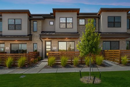 New construction Townhouse house 4634 White Buffalo Trl (Re), Oak Point, TX 75068 plan Birch - image