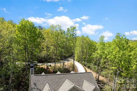 New construction Single-Family house 233 Arcadia Falls Wy, Black Mountain, NC 28711 - image