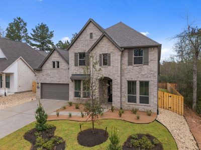 New construction Single-Family house 1744 Howler Wy, Montgomery, TX 77316 plan Briggs - image