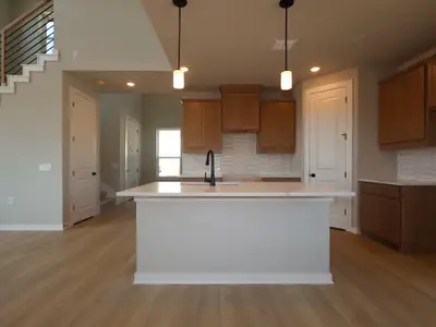 New construction Single-Family house 165 Antioch Church Dr, Buda, TX 78610 plan Hyacinth - Cottage Series - image